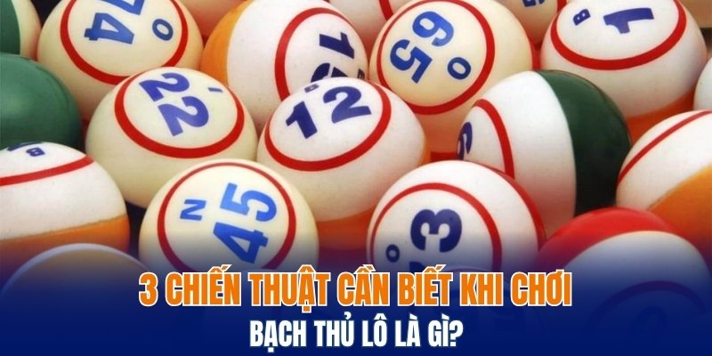 Xỉu Chủ Là Gì? Các Điều Cần Biết Khi Sử Dụng Tại Bwing 7 3 chiến thuật cần biết khi chơi bạch thủ lô là gì?