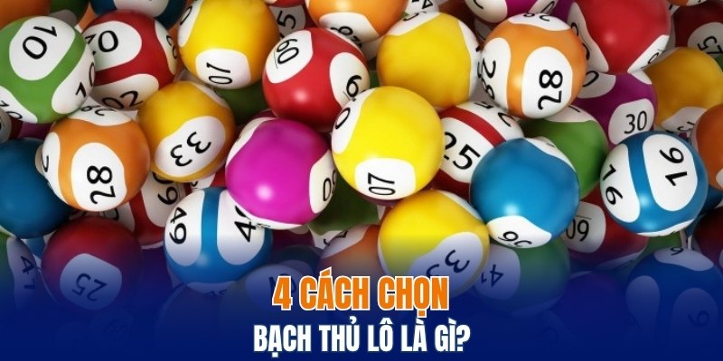 Xỉu Chủ Là Gì? Các Điều Cần Biết Khi Sử Dụng Tại Bwing 6 4 cách chọn bạch thủ lô là gì?