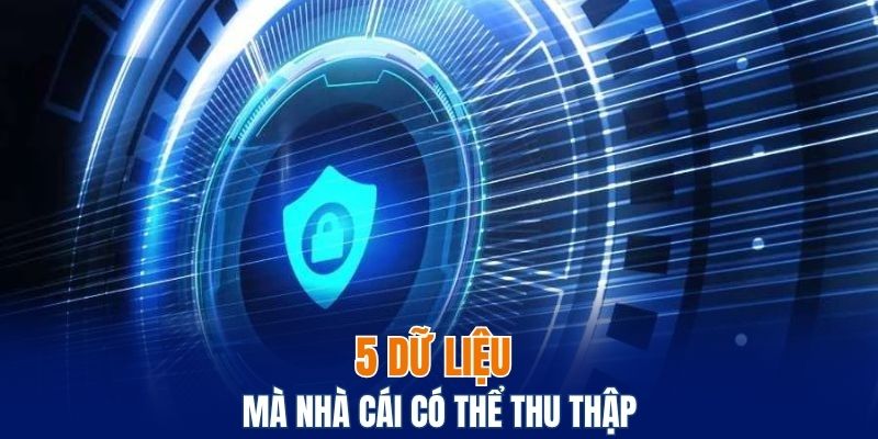 Chính Sách Quyền Riêng Tư Bwing Chi Tiết Nhất 2025 5 5 dữ liệu mà nhà cái có thể thu thập