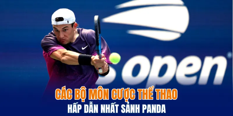 Panda Sports - Sảnh Giải Trí Thể Thao, Kèo Cược Hấp Dẫn 5 Các bộ môn thể thao hấp dẫn nhất sảnh Panda