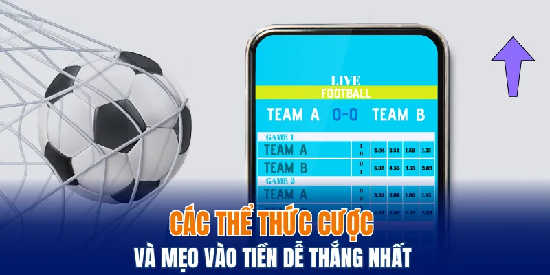 Sảnh BTI - Hội Tụ Các Môn Cược Thể Thao Hấp Dẫn Nhất 6 Các thể thức cược và mẹo vào tiền dễ thắng nhất