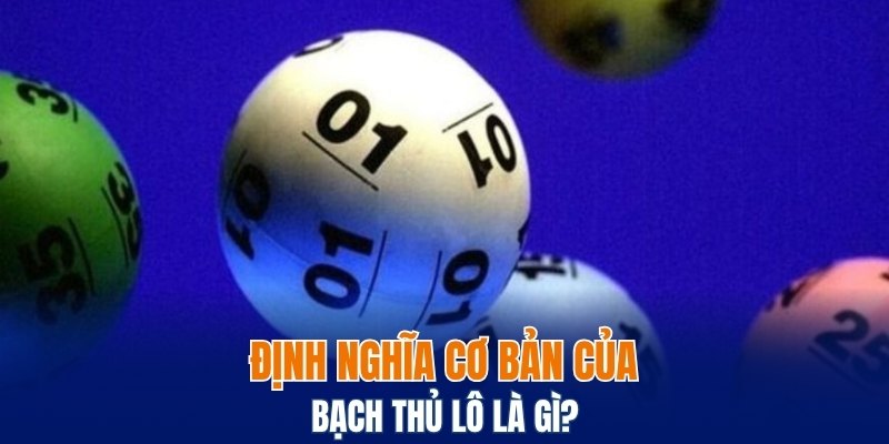 Xỉu Chủ Là Gì? Các Điều Cần Biết Khi Sử Dụng Tại Bwing 5 Định nghĩa cơ bản của bạch thủ lô là gì?