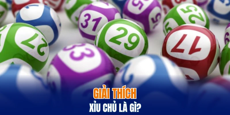 Bạch Thủ Lô Là Gì? Bí Quyết Chơi Lô Hiệu Quả Tại Bwing 5 Giải thích xỉu chủ là gì?