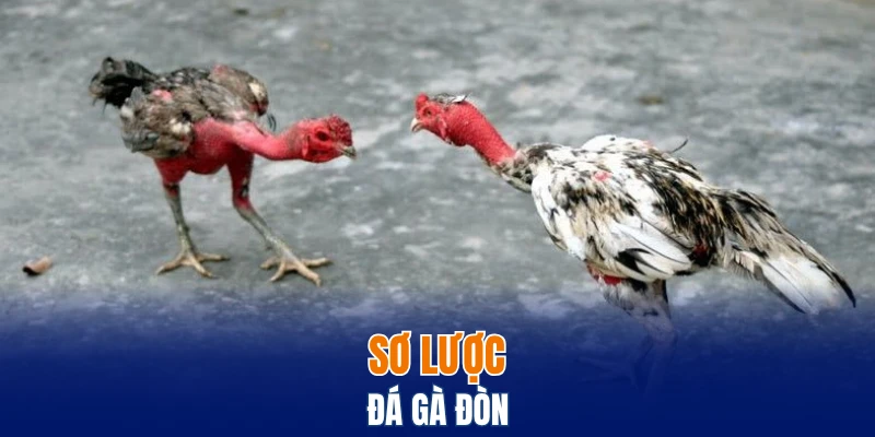 Đá Gà Thomo Trực Tuyến, Chơi Thật, Thắng Lớn Cùng Bwing 5 Sơ lược đá gà đòn