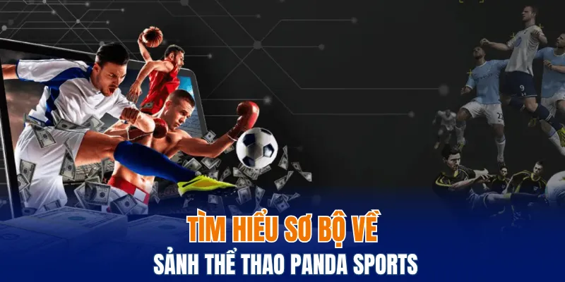 Panda Sports - Sảnh Giải Trí Thể Thao, Kèo Cược Hấp Dẫn 4 Tìm hiểu sơ bộ về sảnh thể thao Panda sports